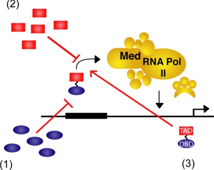 FIGURE 1.