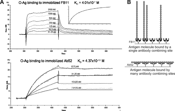 FIG. 6.