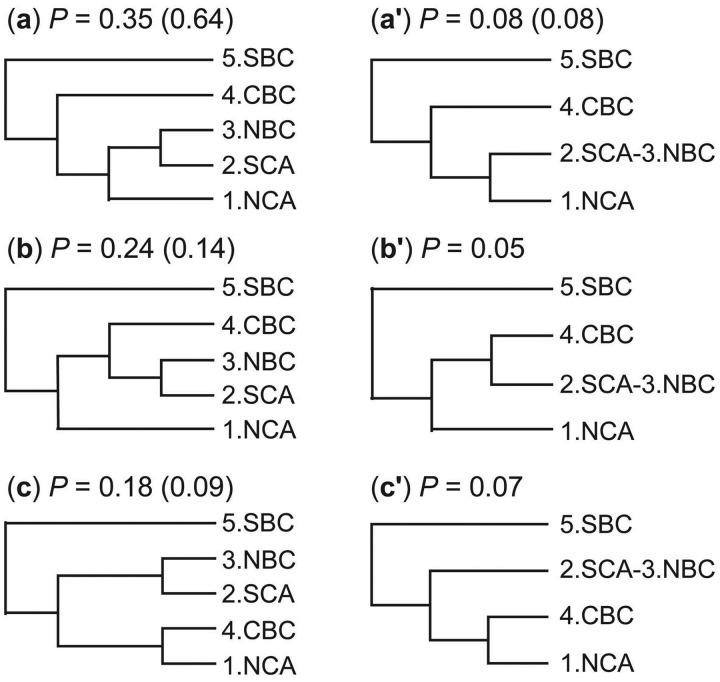 Fig. 8.