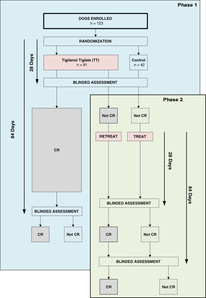 FIGURE 1