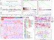 Figure 5: