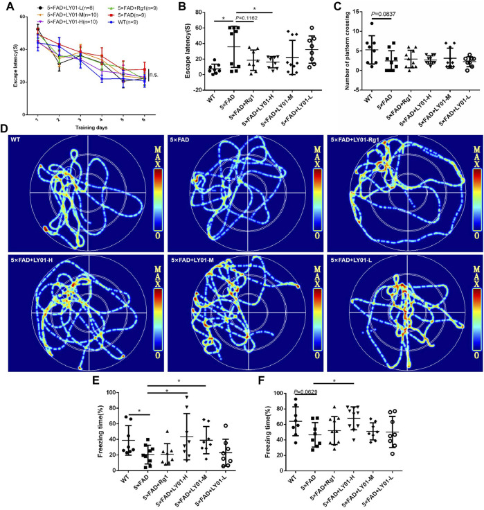 FIGURE 4