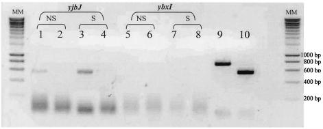 FIG. 6.