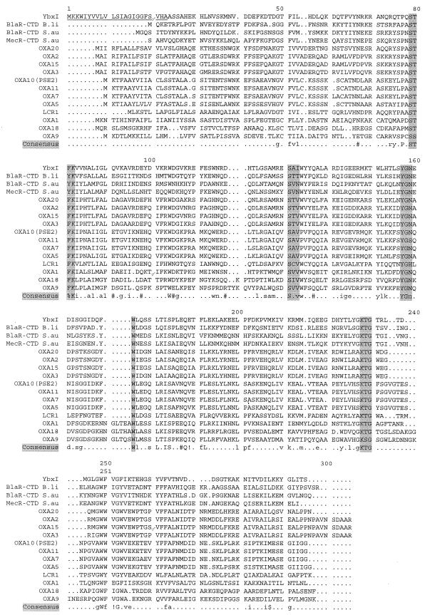 FIG.2.