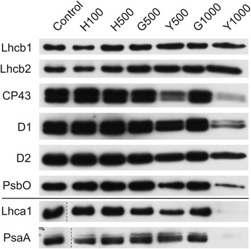 Fig. 9