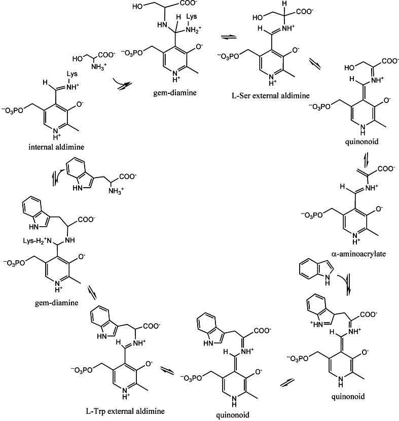 Scheme 1