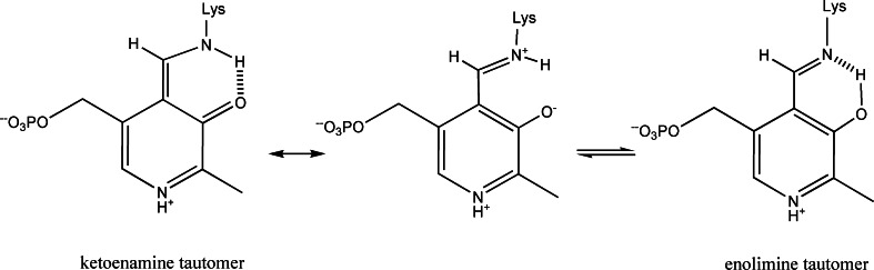 Scheme 2