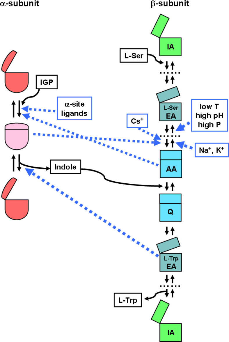 Fig. 3