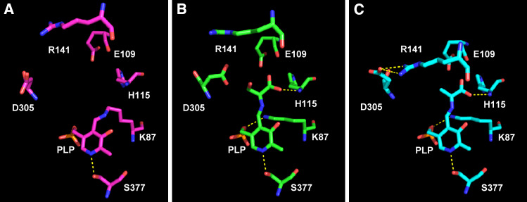 Fig. 2