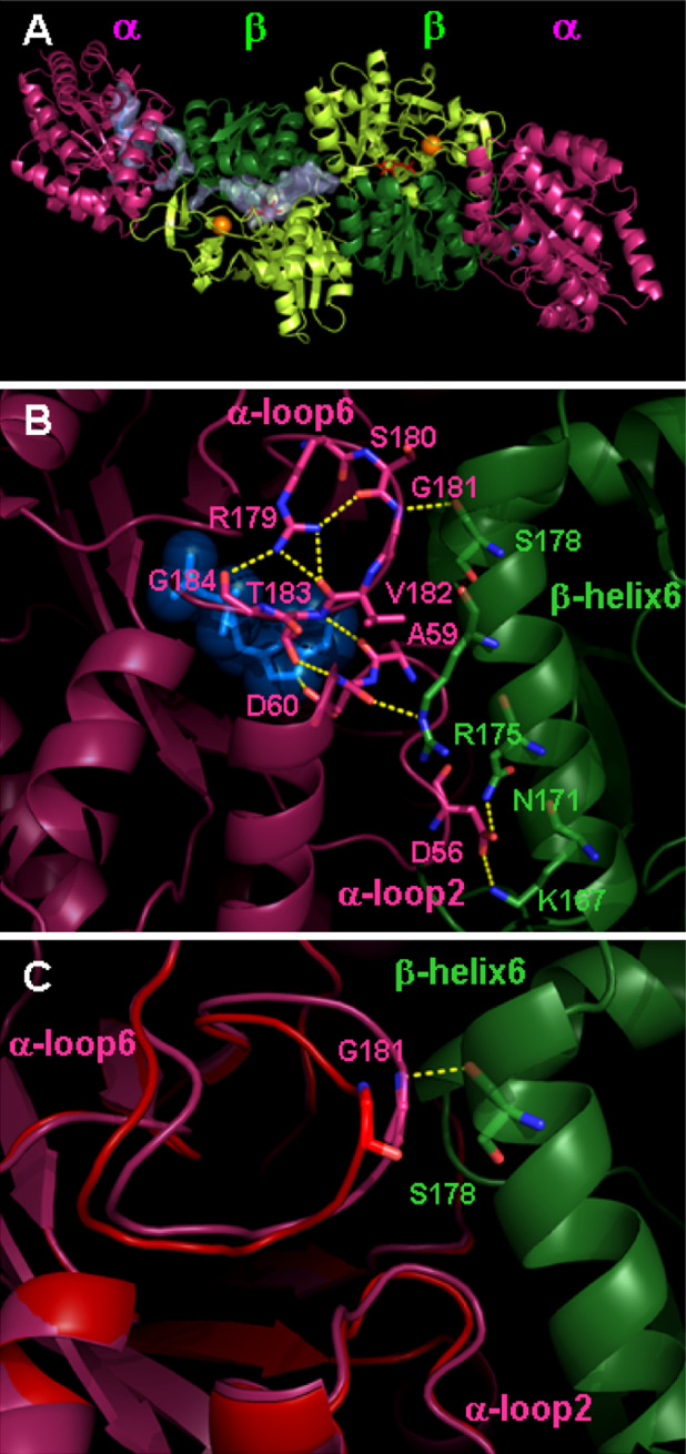 Fig. 1