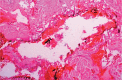 Fig. 2: