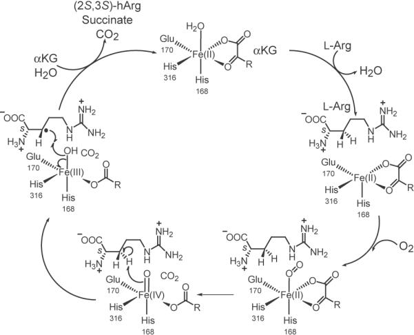 Fig. 2