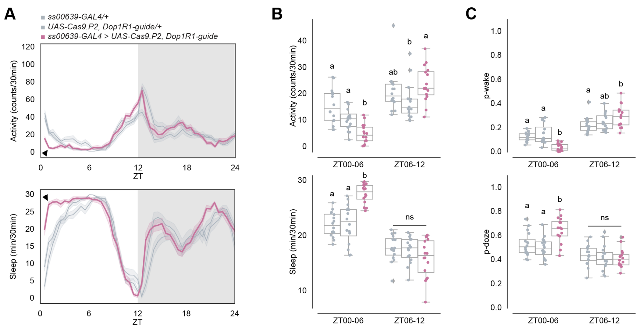 Figure 5.