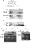 Fig 5