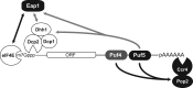 Fig 8