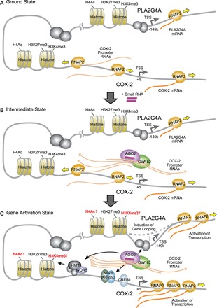 Figure 13.