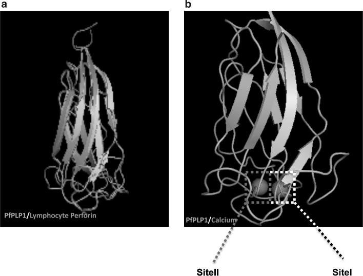 Fig. 2