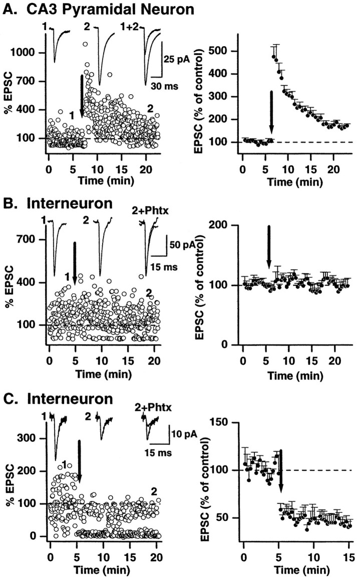 Fig. 8.