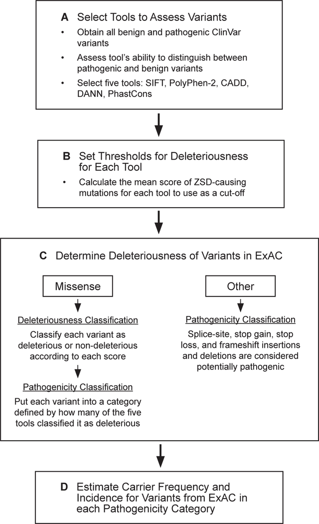 Figure 1: