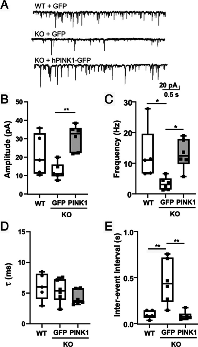 Figure 5.