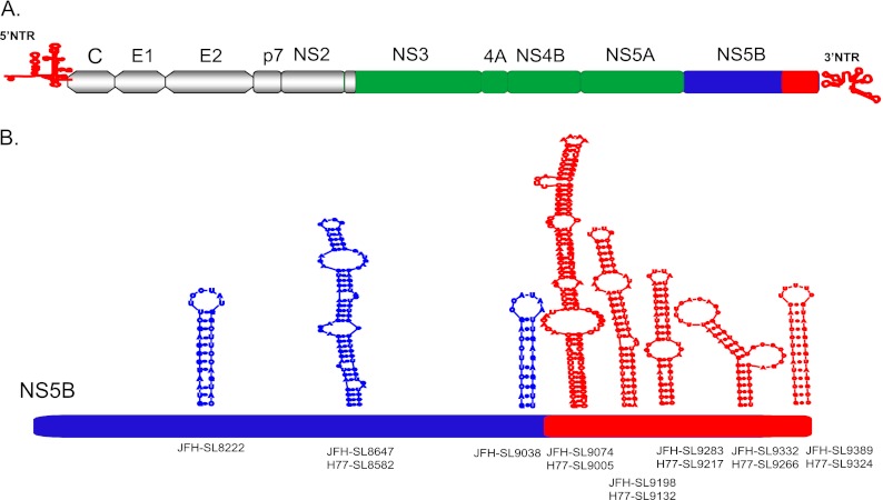 Fig 10