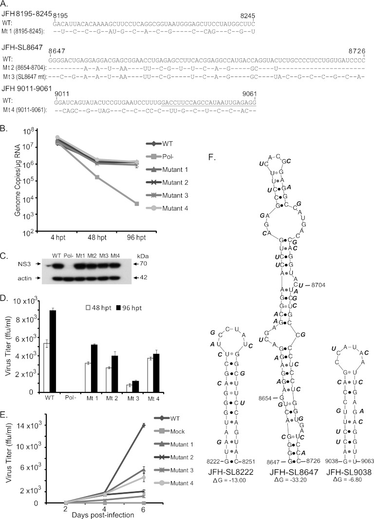 Fig 6