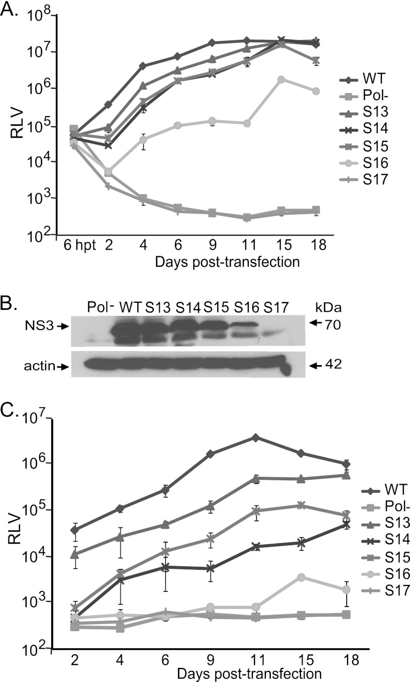 Fig 3