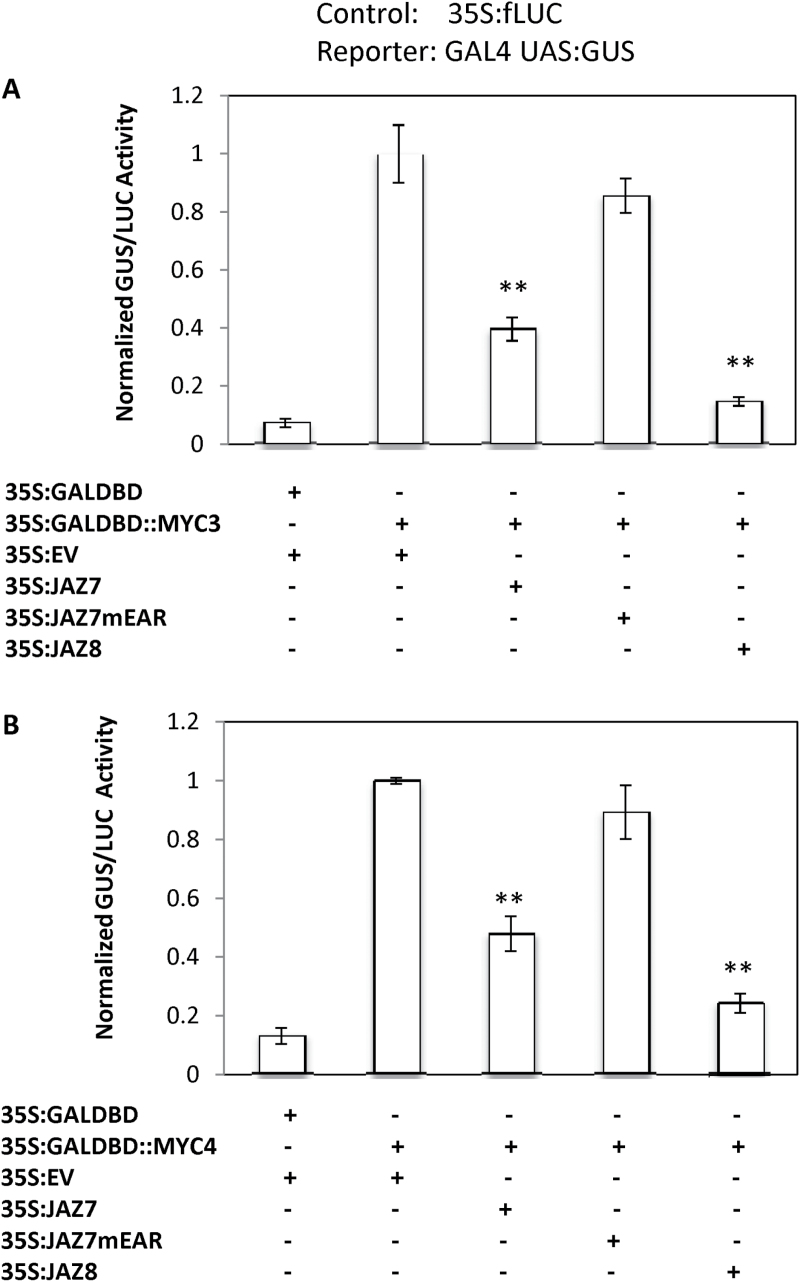 Fig. 13.