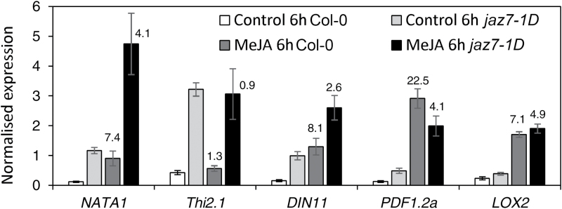 Fig. 10.