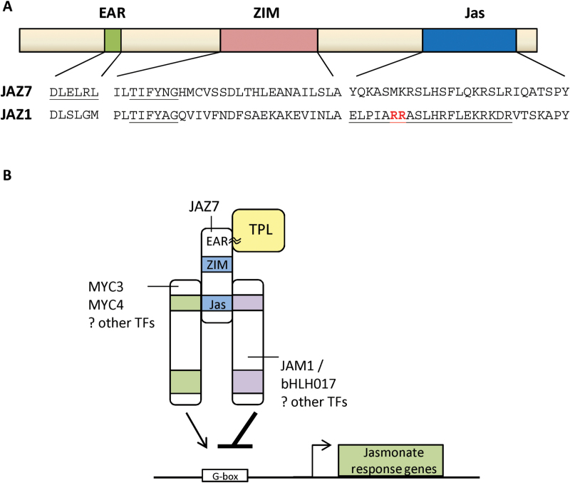 Fig. 14.