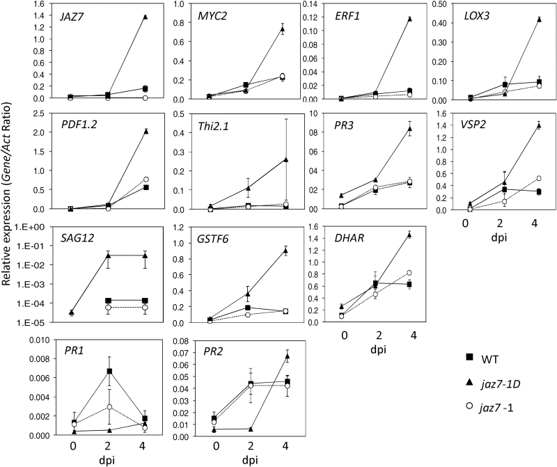 Fig. 8.