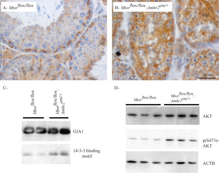 FIG. 6