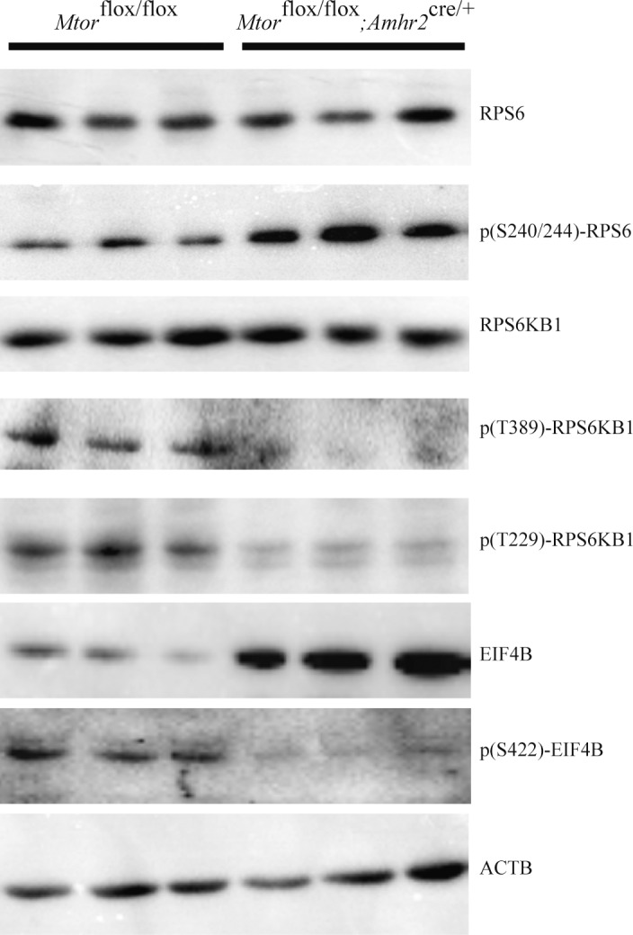 FIG. 7