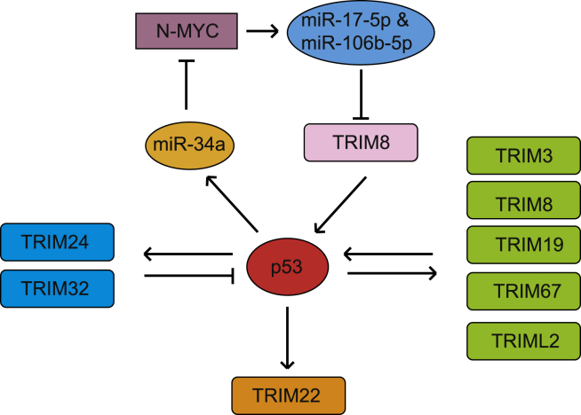 Figure 3