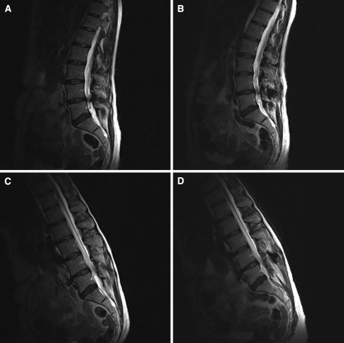 Fig. 5