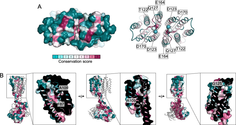 Figure 2—figure supplement 3.