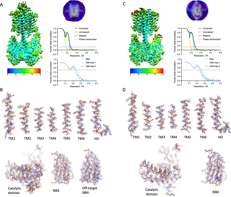 Figure 1—figure supplement 3.