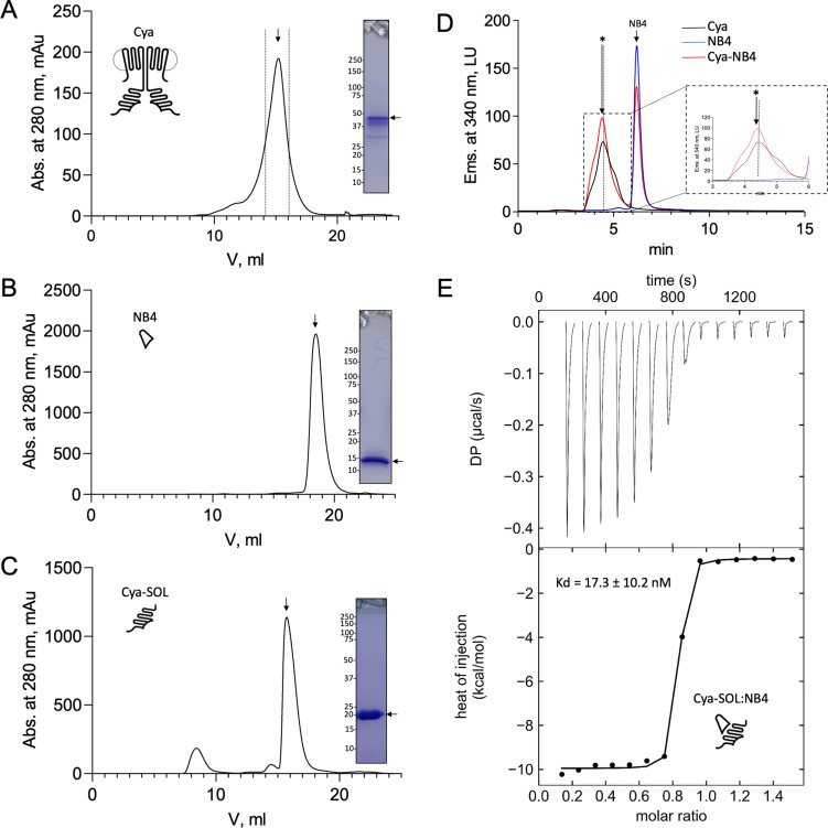 Figure 1—figure supplement 1.