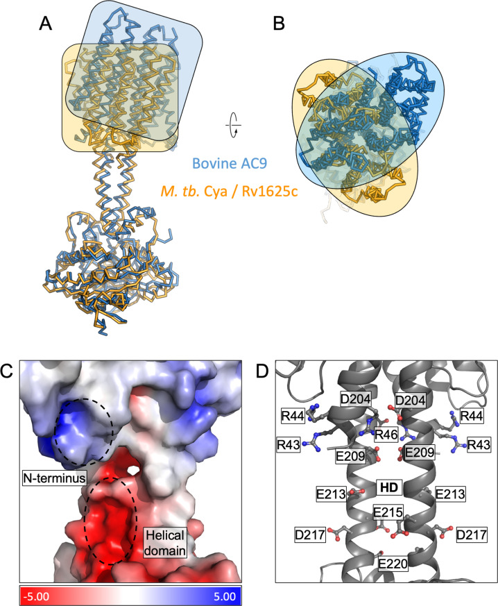 Figure 2—figure supplement 1.