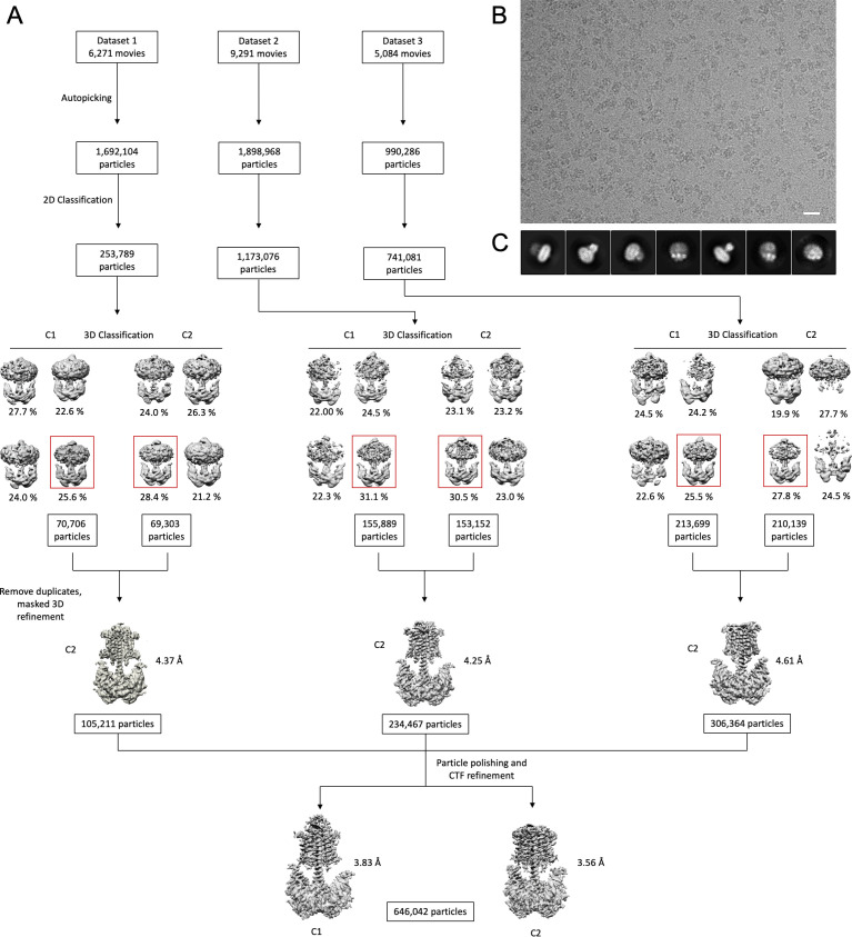 Figure 1—figure supplement 2.