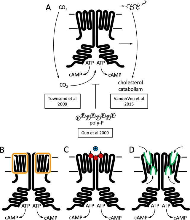 Figure 6.