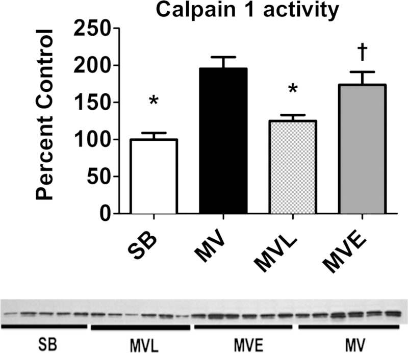 Fig. 9.