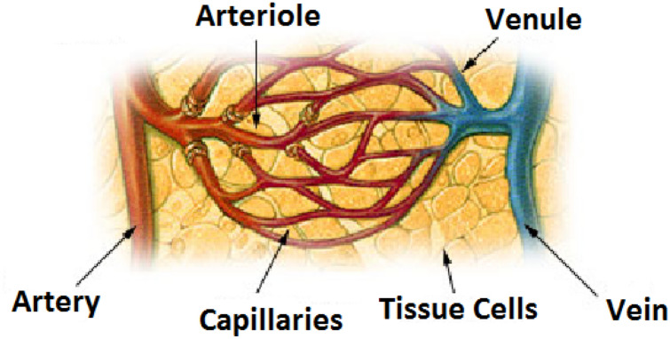 Fig. 1