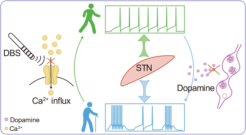 Fig. 2