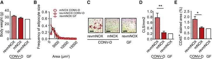 Figure 7