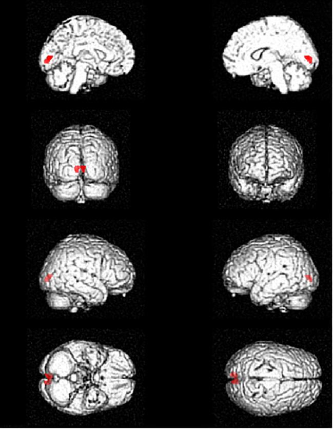 Supplementary figure 2