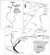 FIG. 1.