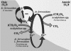 FIG. 6.