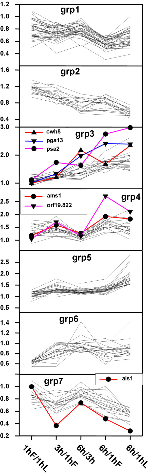 Figure 7