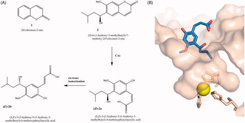 Figure 1.